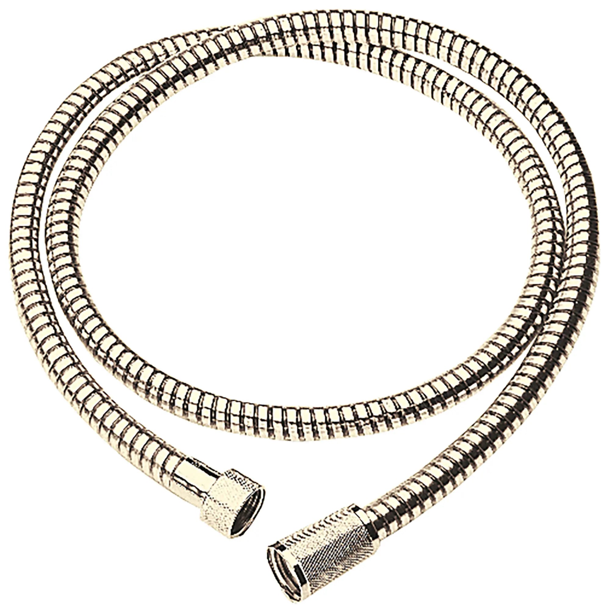 Flexible // POLISHED BRASS // 14397_28151r00-shower-hose-polished-brass_0_CDNwebp.webp