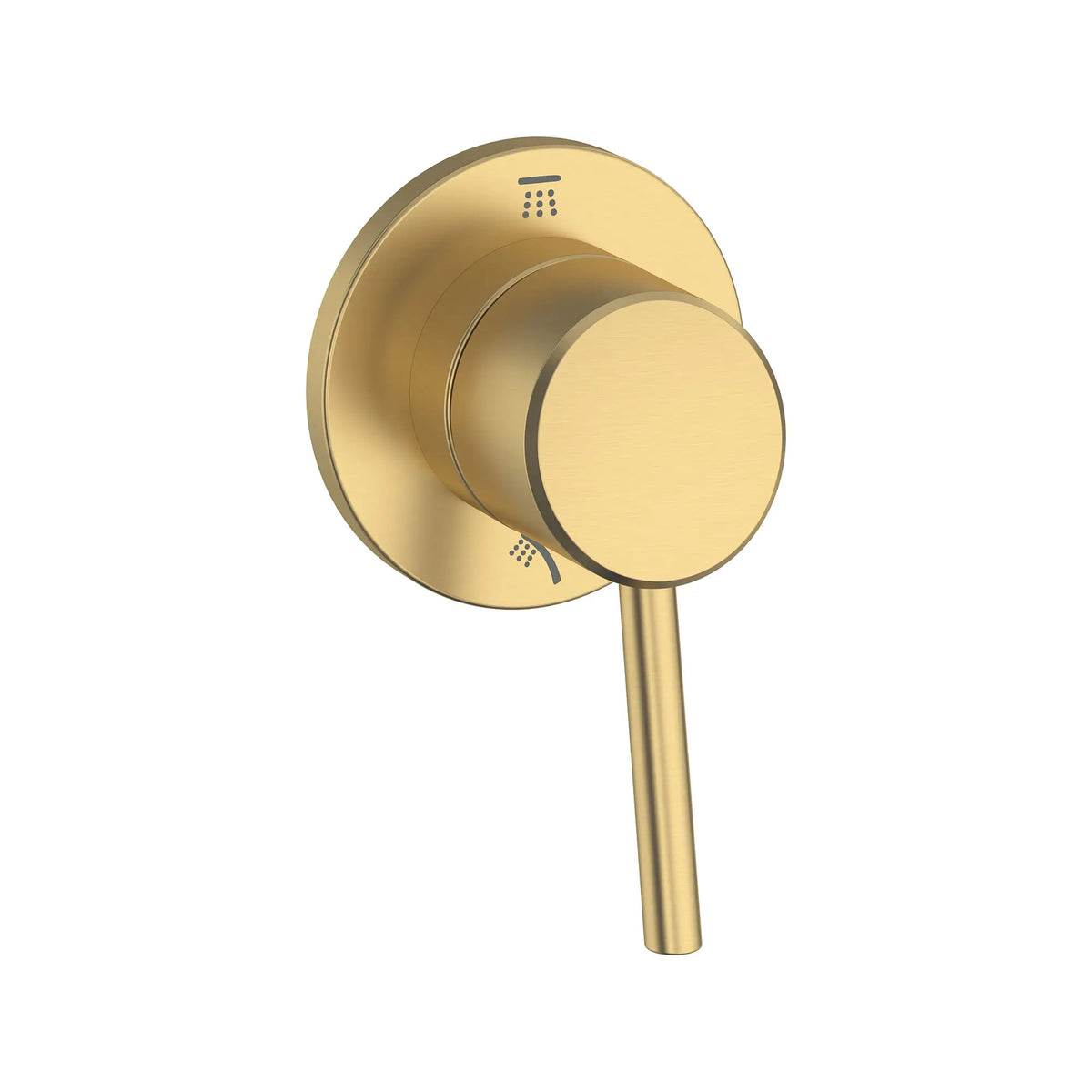 Garniture pour inverseur à 2 voies // AUBE FRAÎCHE BROSSÉ // 161694_Concetto_SiloRight_29108GN1_0001_Feb2023_0_CDNwebp_8ae79d34-2925-40c4-91af-0822209f1ca8.webp