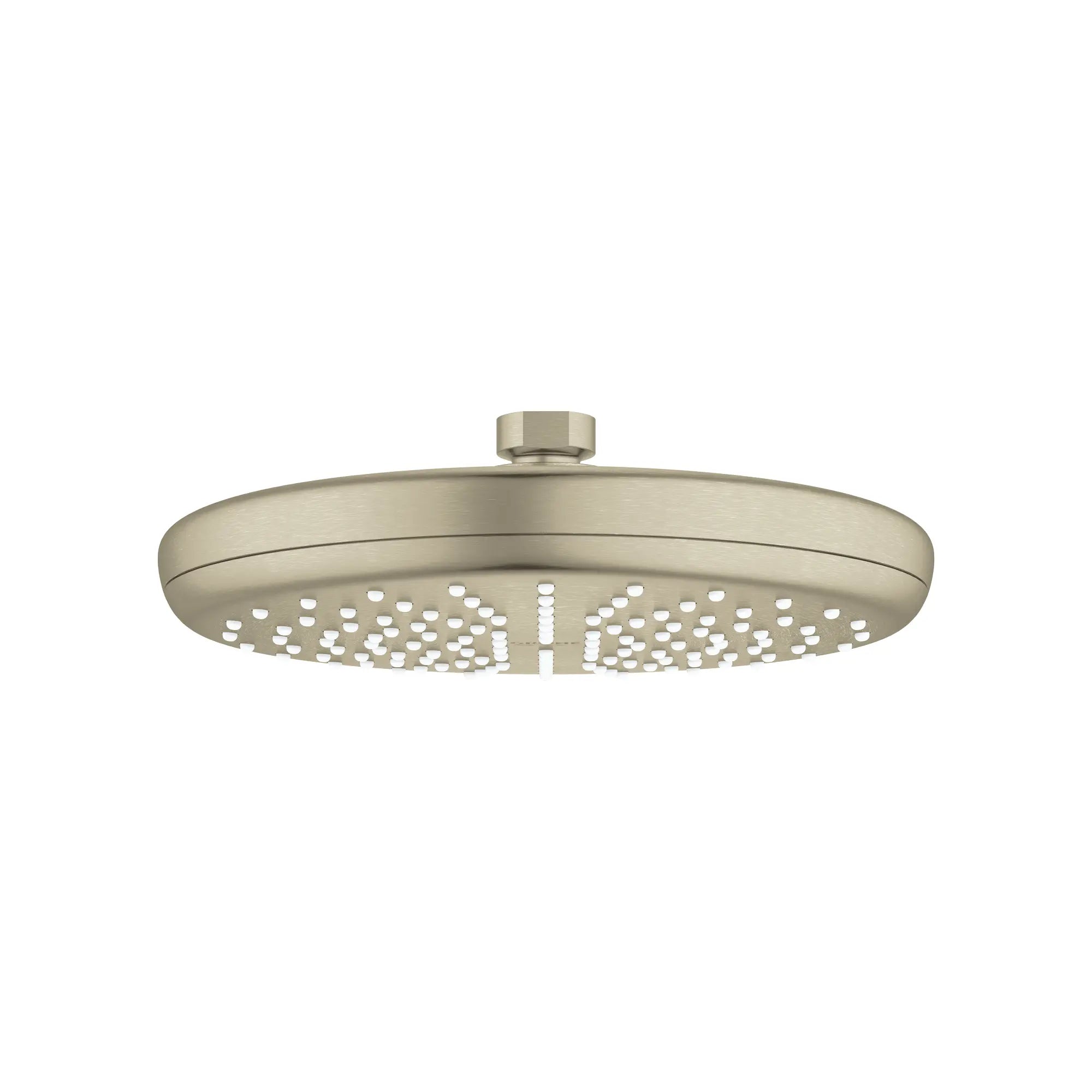Tempesta 210 Pomme de douche - 1 jet d’aspersion // NICKEL BROSSÉ INFINITYFINISH // 162488_26410EN0_0_CDNwebp.webp