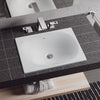 [39660000] Under Counter 21" Bathroom Sink - Alpine White