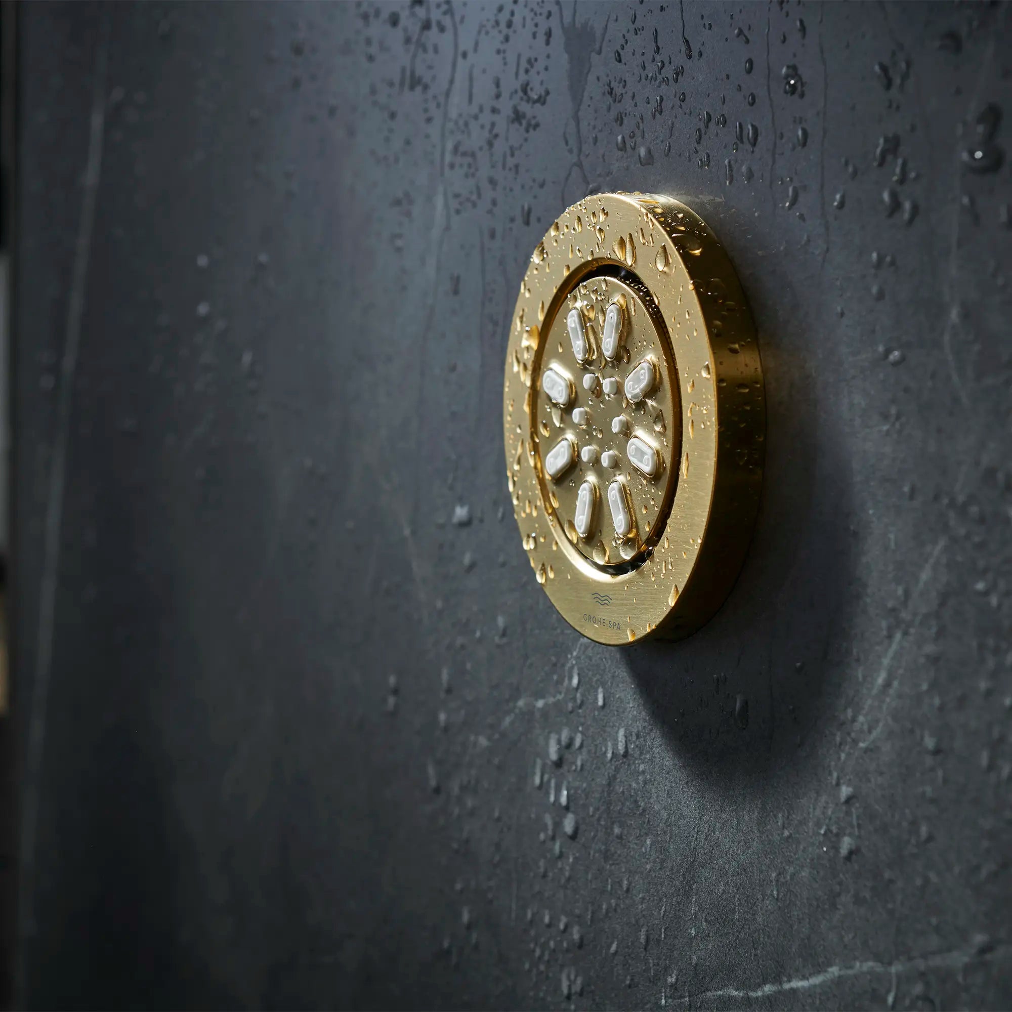 Douchette latérale - 2 jets, 0,9 gpm // AUBE FRAÎCHE BROSSÉ // 233676_RainshowerAqua_EnvironmentCloseUp_26744GN0_0001_Nov2023_CDNwebp.webp