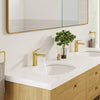 [39660000] Under Counter 21" Bathroom Sink - Alpine White