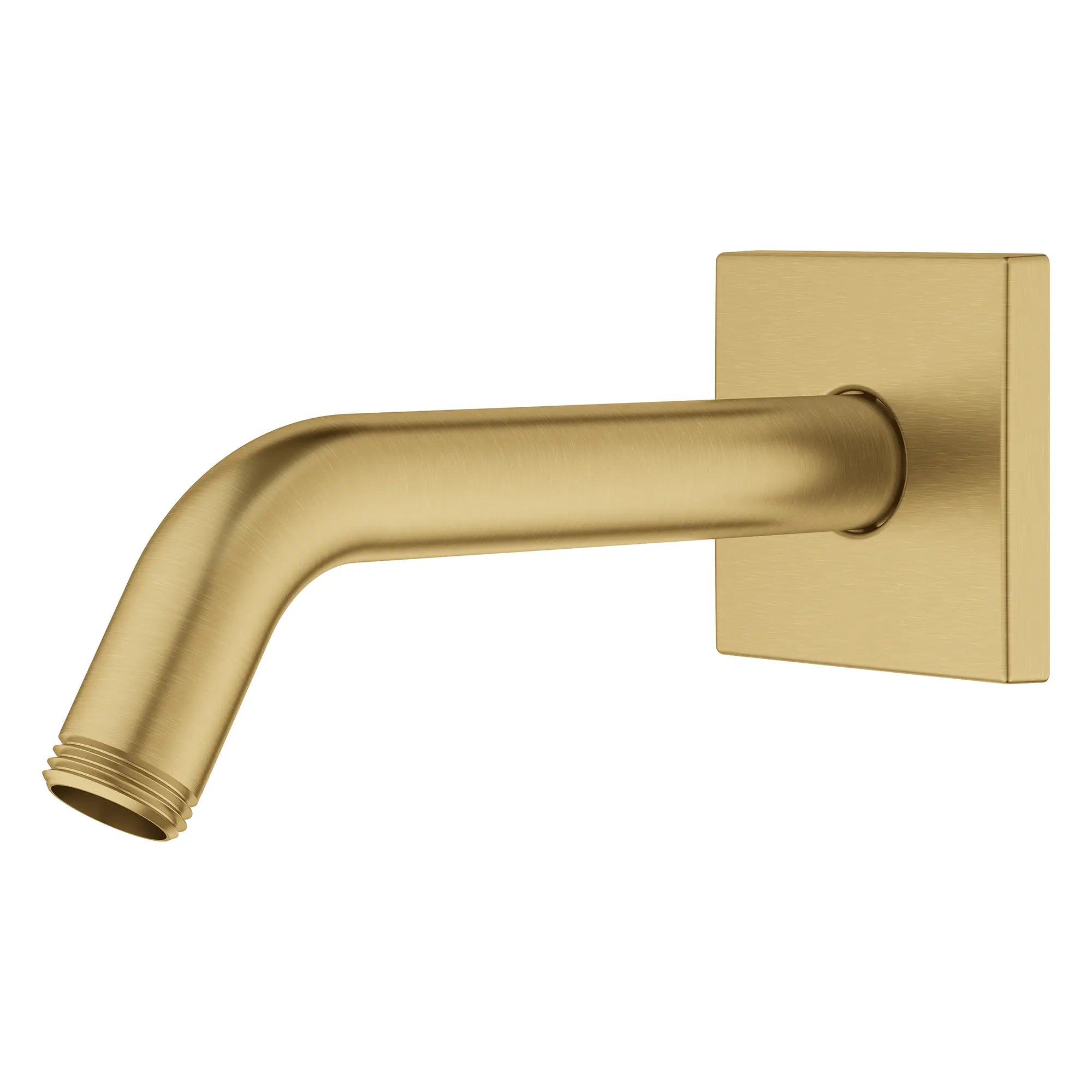 Relexa Bras de douche de 6 po avec bride carrée // AUBE FRAÎCHE BROSSÉ // 277812_Grohe_Shower_SiloLeft_26633GN0_0001_October2025_0_CDNwebp.webp