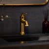 [106215GN00] Listra Single Hole Single-Handle S-Size Bathroom Faucet, 1.2 gpm (4.5L/min) - Hard Graphite
