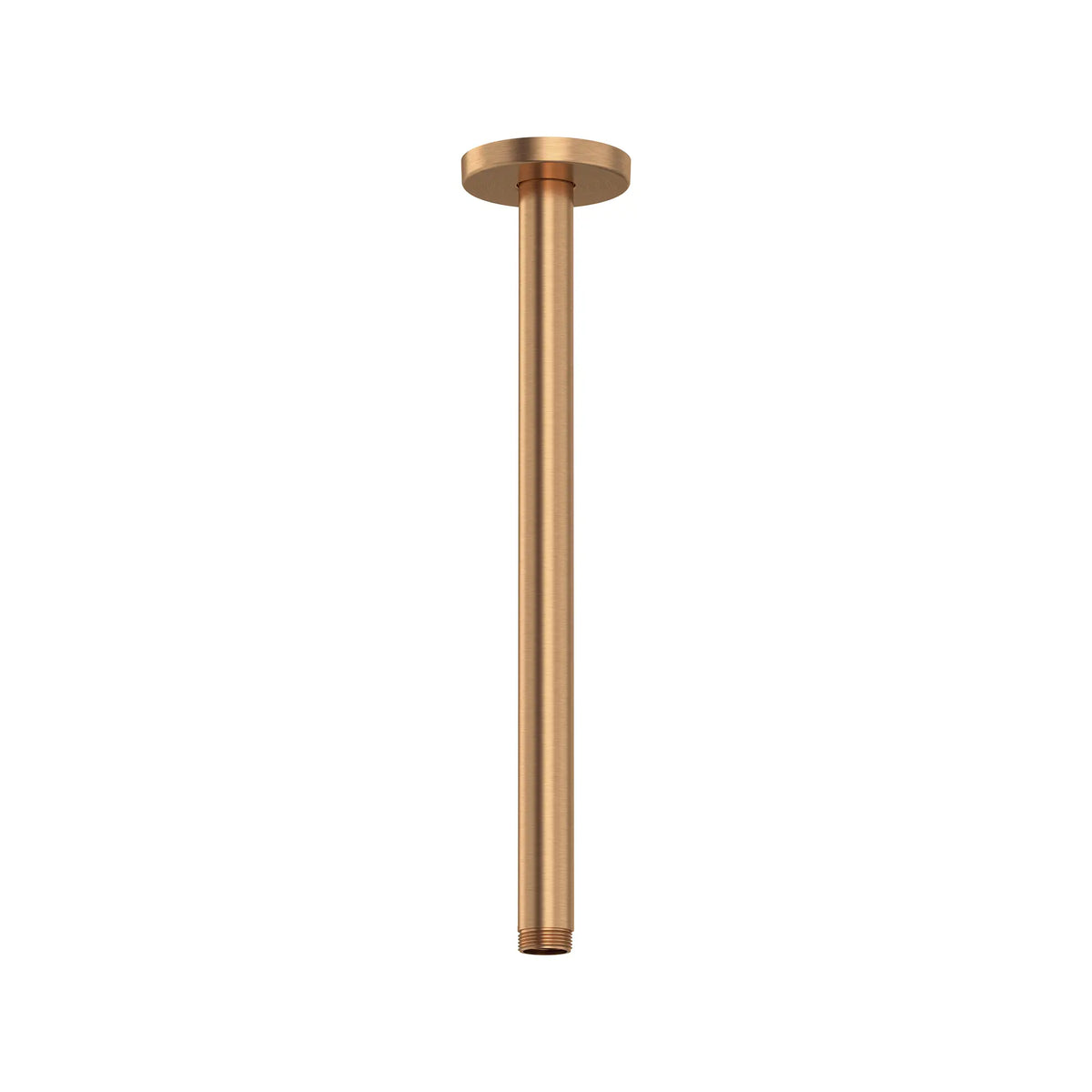 Bras de douche de plafond Rainshower de 30,48 cm (12 po) // COUCHANT CHAUD BROSSÉ // 281715_Rainshower_SiloFront_28492DL00_0001_July2025_0_CDNwebp.webp