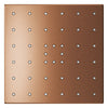 [111661DL00] Rainshower Aqua Mono Spray 5 1/2" Square Showerhead with Aqua Booster 1.75 GPM (6.6 L/min) - GROHE StarLight Chrome