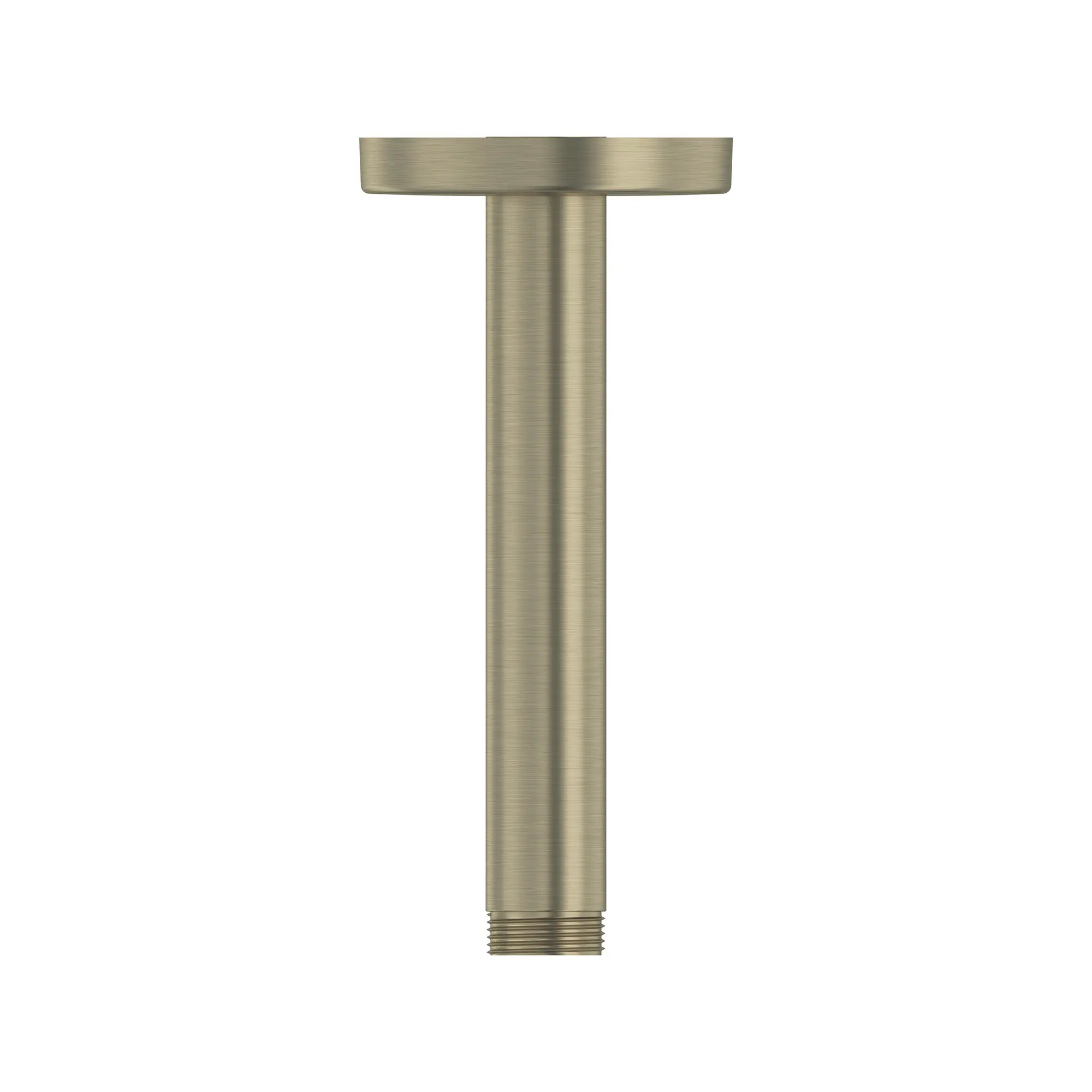 Bras de douche rond de plafond Rainshower de 15,24 cm (6 po) // NICKEL BROSSÉ INFINITYFINISH // 288250_Rainshower_SiloRight_27217EN00_0001_FEBRUARY2026_0_CDNwebp.webp