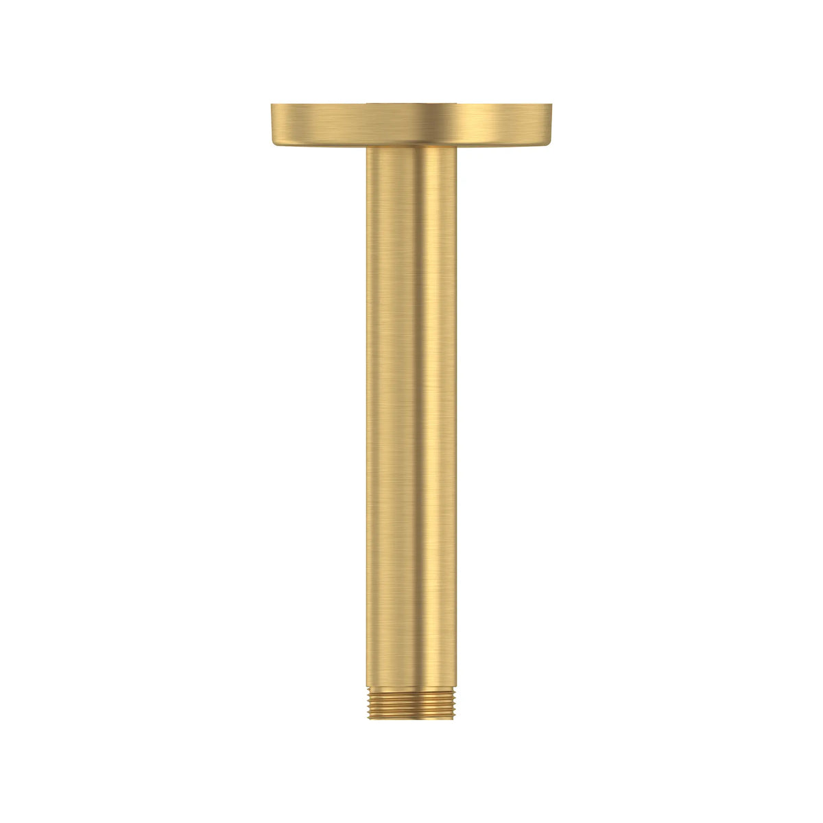 Bras de douche rond de plafond Rainshower de 15,24 cm (6 po) // AUBE FRAÎCHE BROSSÉ // 288251_Rainshower_SiloRight_27217GN00_0001_FEBRUARY2026_0_CDNwebp.webp